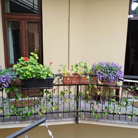 Apartmán La Terrazzina, Silenzioso, Zona Piazza Gran Madre Turín Exteriér fotografie